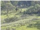 591 Off Jerrong  Road, Taralga NSW 2580