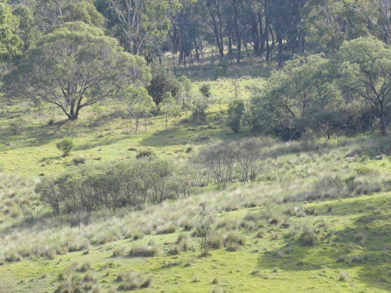 591 Off Jerrong  Road, Taralga NSW 2580