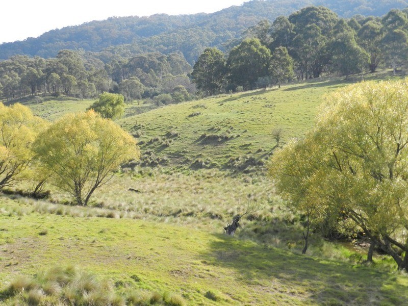 591 Off Jerrong  Road, Taralga NSW 2580