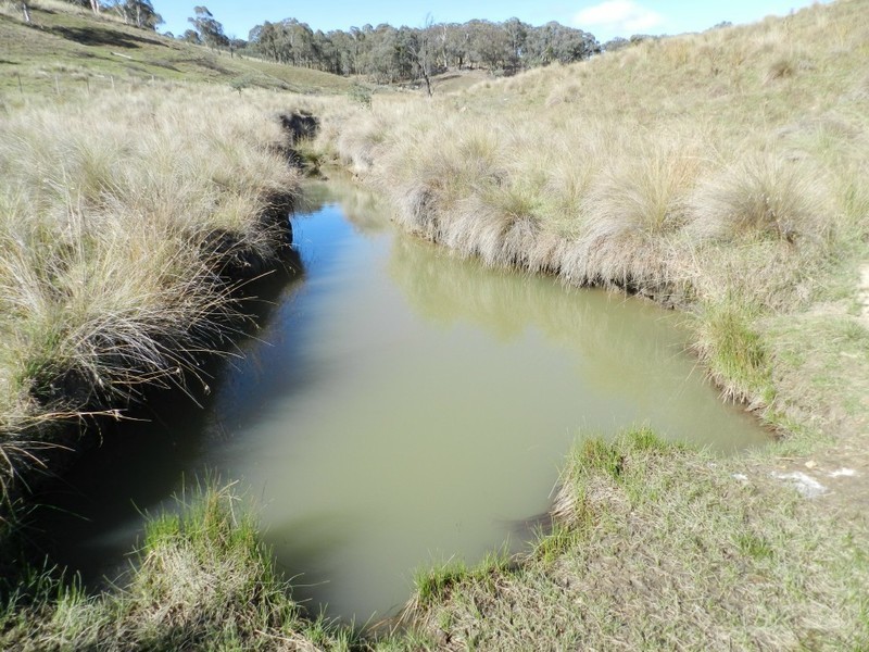 1374 Kangaloolah Road, Binda NSW 2583