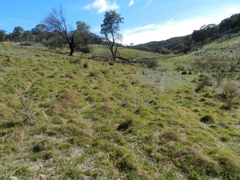 1374 Kangaloolah Road, Binda NSW 2583