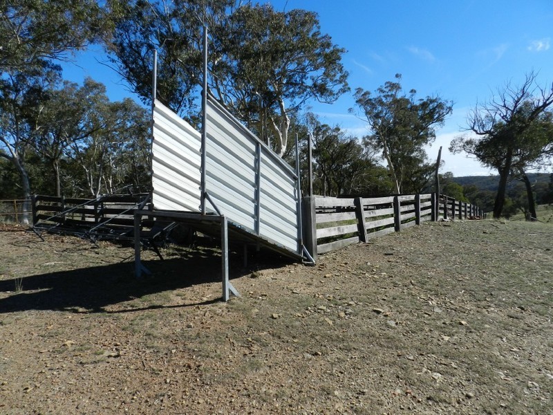 1374 Kangaloolah Road, Binda NSW 2583