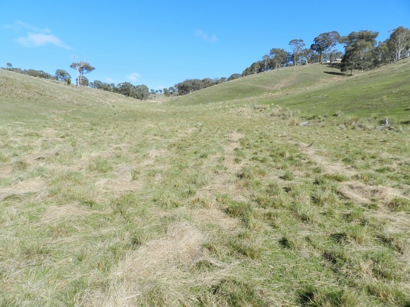 1374 Kangaloolah Road, Binda NSW 2583