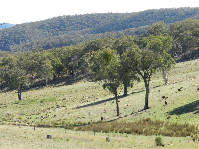 1374 Kangaloolah Road, Binda NSW 2583