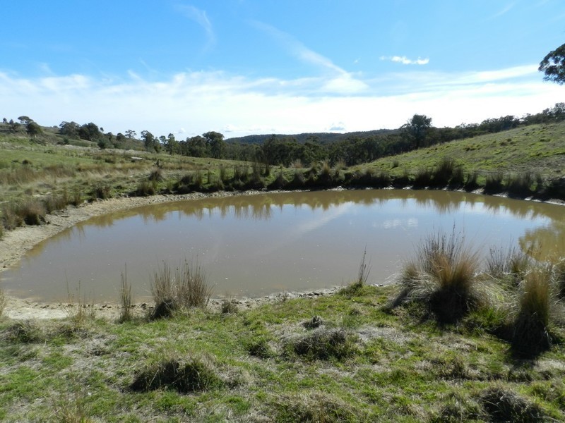 1374 Kangaloolah Road, Binda NSW 2583