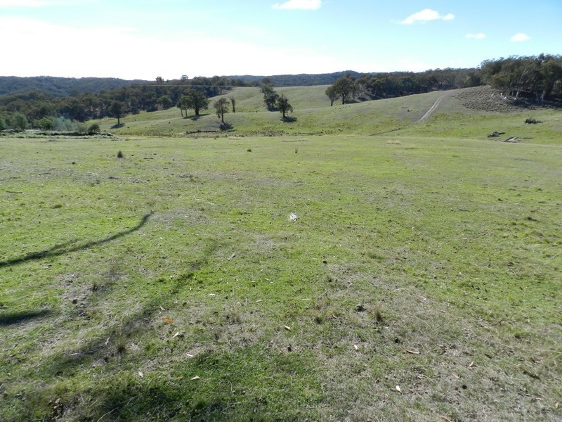 1374 Kangaloolah Road, Binda NSW 2583