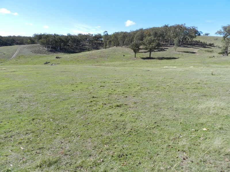 1374 Kangaloolah Road, Binda NSW 2583