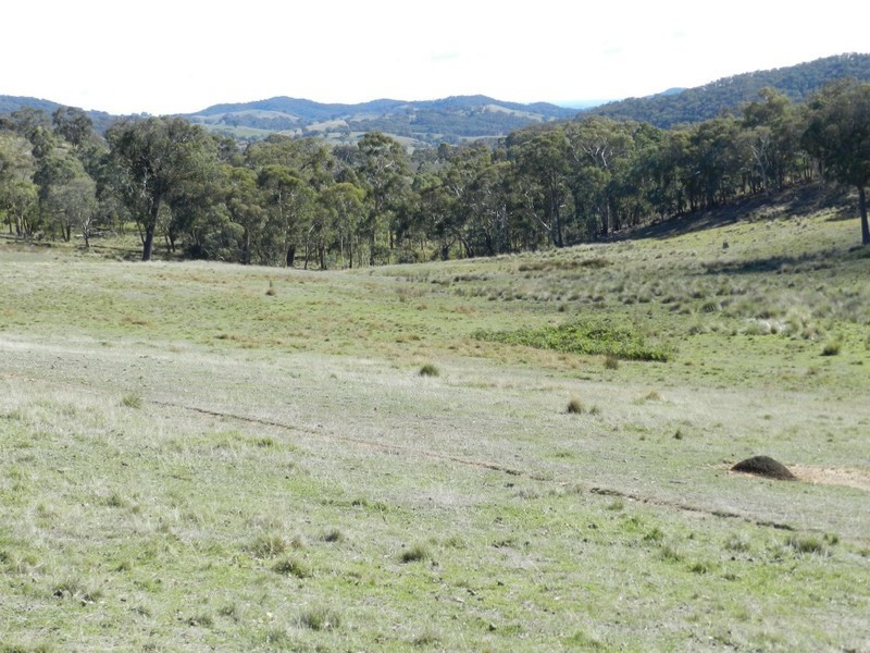 1374 Kangaloolah Road, Binda NSW 2583