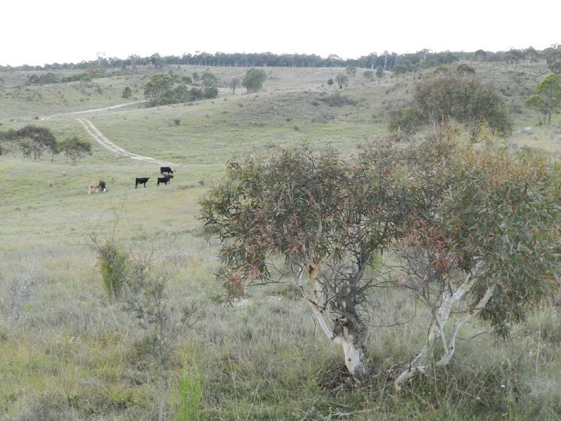 Lot 28 Highgrove Heights  Road, Windellama NSW 2580