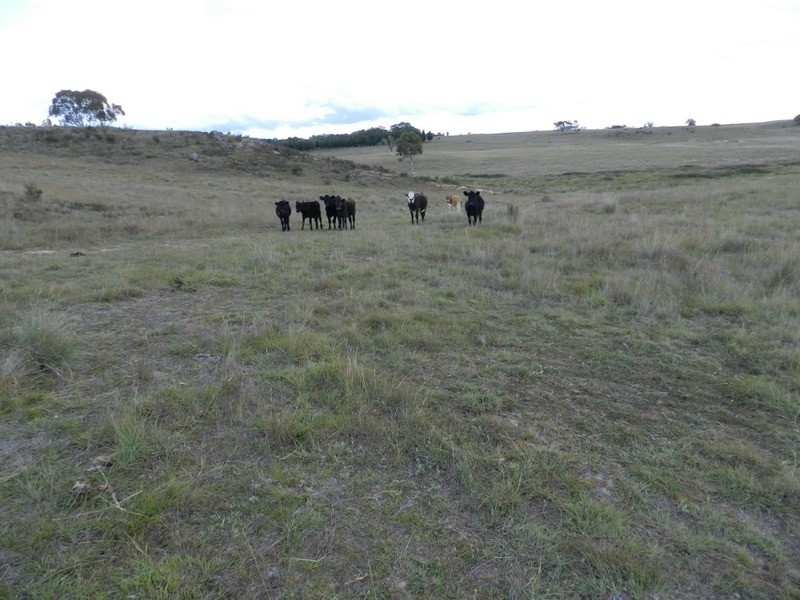 Lot 28 Highgrove Heights  Road, Windellama NSW 2580