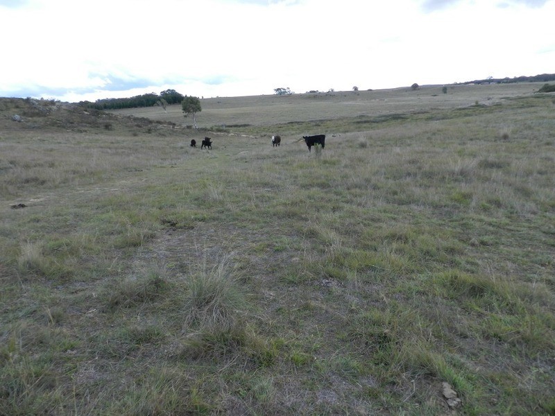 Lot 28 Highgrove Heights  Road, Windellama NSW 2580