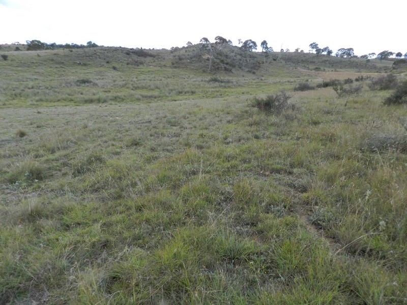 Lot 28 Highgrove Heights  Road, Windellama NSW 2580