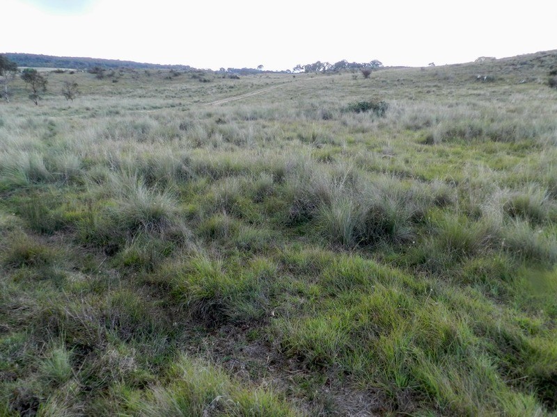 Lot 28 Highgrove Heights  Road, Windellama NSW 2580