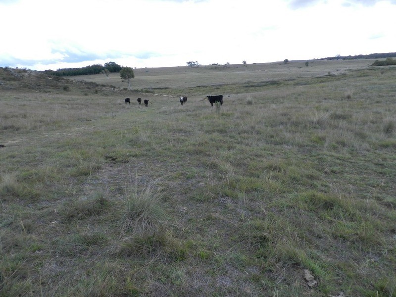 Lot 28 Highgrove Heights  Road, Windellama NSW 2580