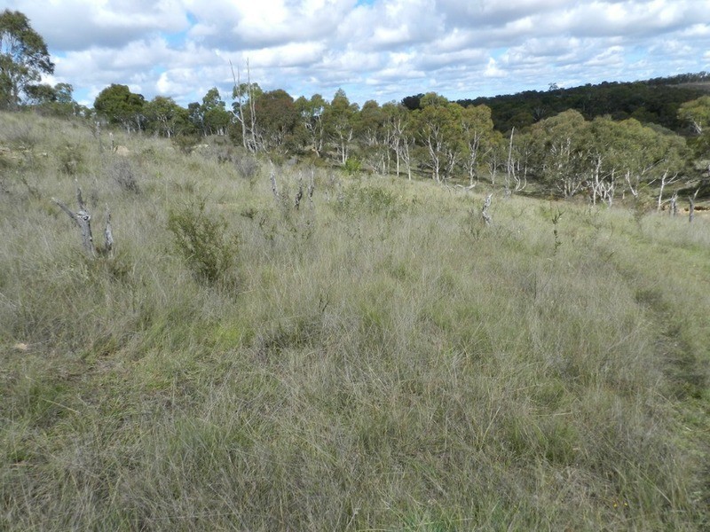 Lot 27 Highgrove Heights Road, Windellama NSW 2580