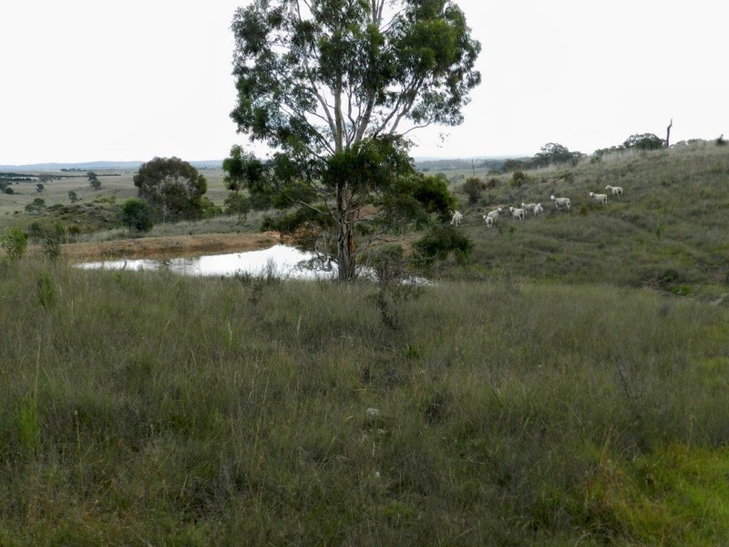 Lot 243 Highgrove Heights Road, Windellama NSW 2580