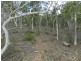 Lot 243 Highgrove Heights Road, Windellama NSW 2580