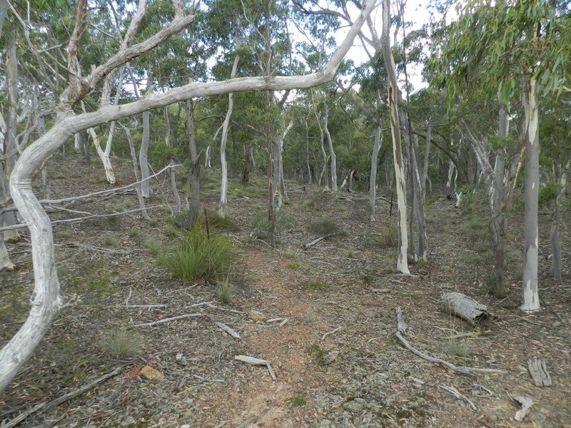 Lot 243 Highgrove Heights Road, Windellama NSW 2580