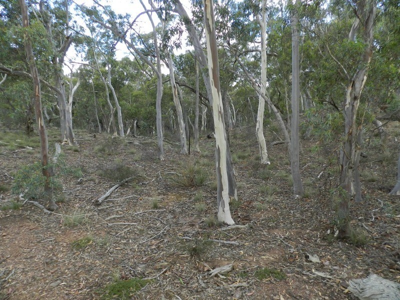 Lot 243 Highgrove Heights Road, Windellama NSW 2580