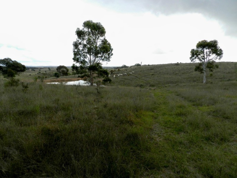 Lot 243 Highgrove Heights Road, Windellama NSW 2580