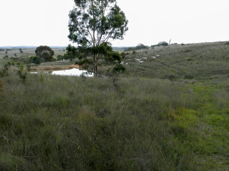 Lot 243 Highgrove Heights Road, Windellama NSW 2580