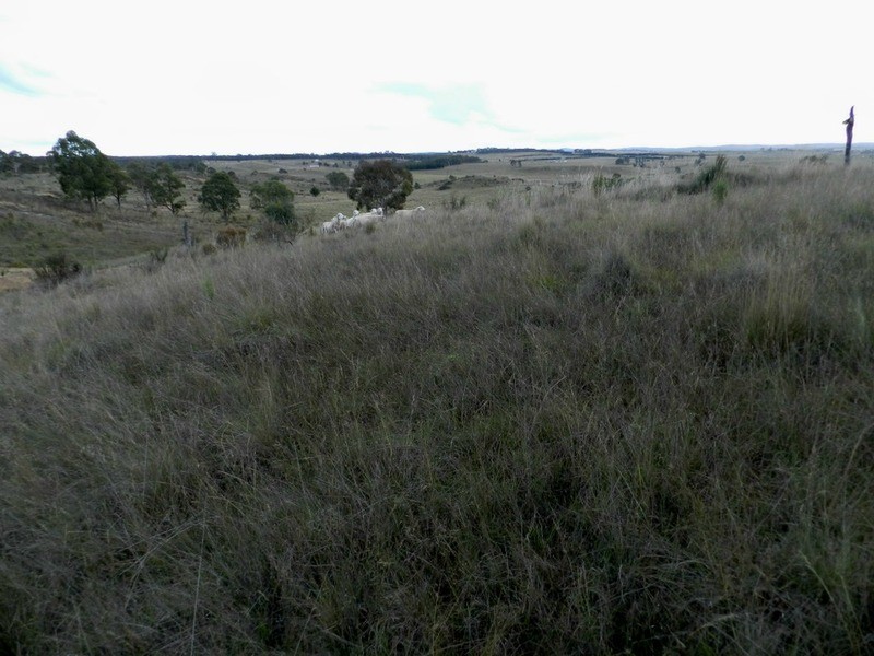 Lot 243 Highgrove Heights Road, Windellama NSW 2580