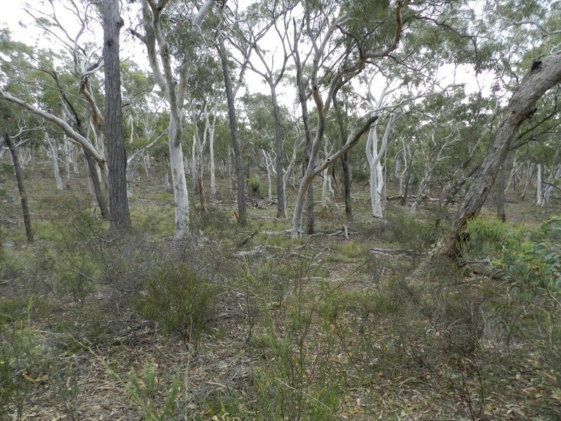 Lot 243 Highgrove Heights Road, Windellama NSW 2580