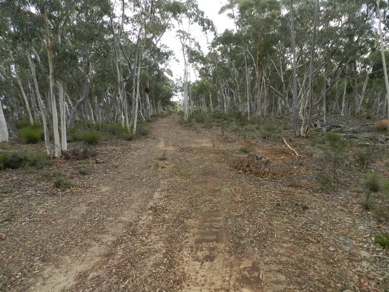 Lot 243 Highgrove Heights Road, Windellama NSW 2580