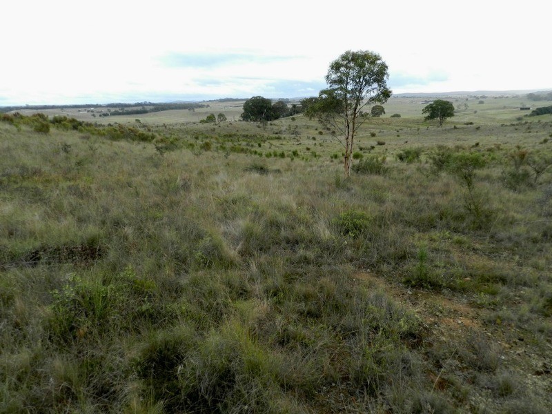 Lot 243 Highgrove Heights Road, Windellama NSW 2580