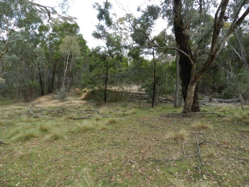 Lot 194 Forest Siding Road, Goulburn NSW 2580