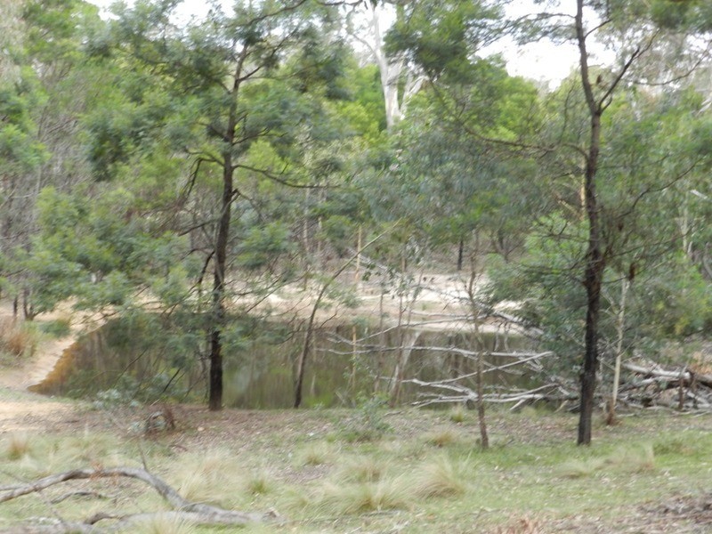 Lot 194 Forest Siding Road, Goulburn NSW 2580