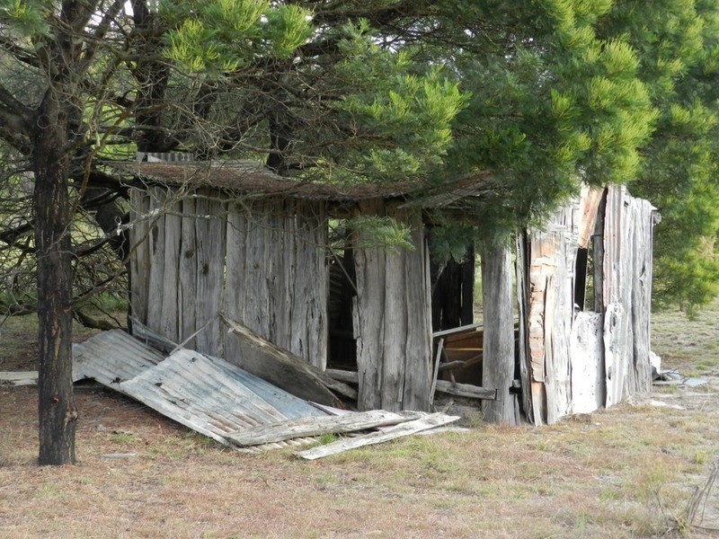 Lot 194 Forest Siding Road, Goulburn NSW 2580