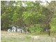 Lot 194 Forest Siding Road, Goulburn NSW 2580