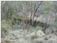 Lot 194 Forest Siding Road, Goulburn NSW 2580