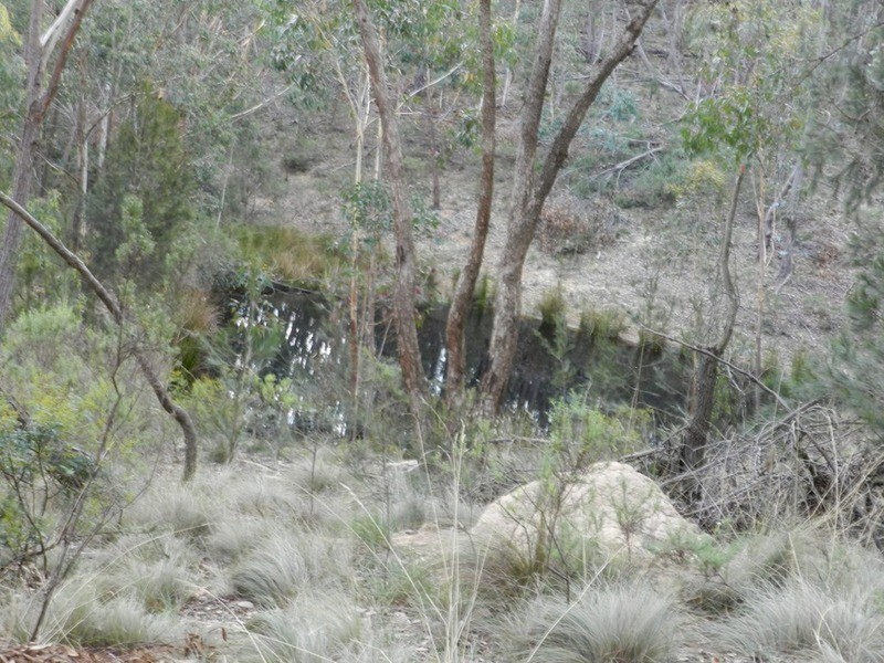 Lot 194 Forest Siding Road, Goulburn NSW 2580