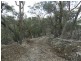 Lot 194 Forest Siding Road, Goulburn NSW 2580