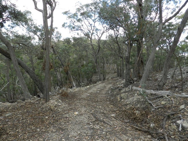 Lot 194 Forest Siding Road, Goulburn NSW 2580