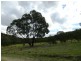 Lot 194 Forest Siding Road, Goulburn NSW 2580