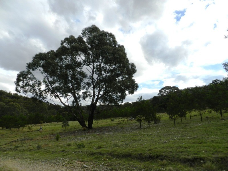 Lot 194 Forest Siding Road, Goulburn NSW 2580