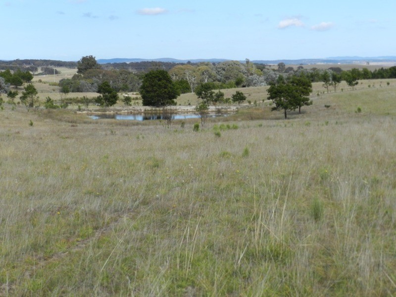 39 Chettle Lane, Goulburn NSW 2580