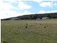 39 Chettle Lane, Goulburn NSW 2580
