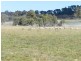 02 Redground Road, Crookwell NSW 2583