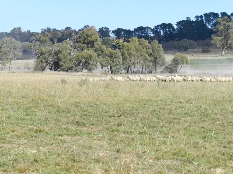 02 Redground Road, Crookwell NSW 2583