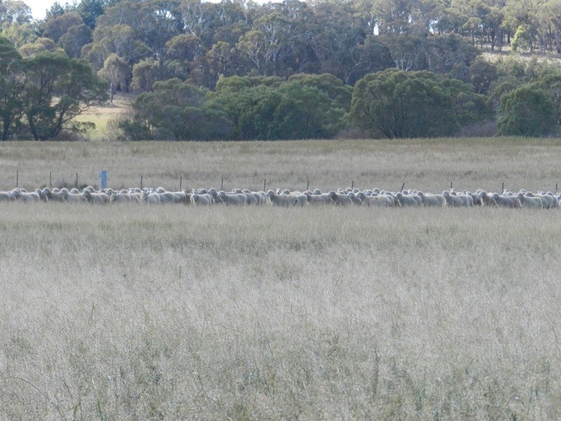 02 Redground Road, Crookwell NSW 2583