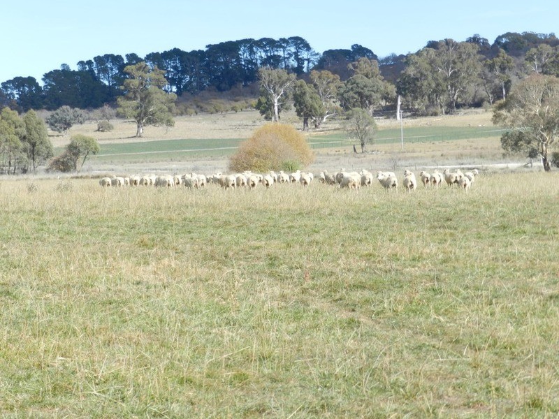 02 Redground Road, Crookwell NSW 2583