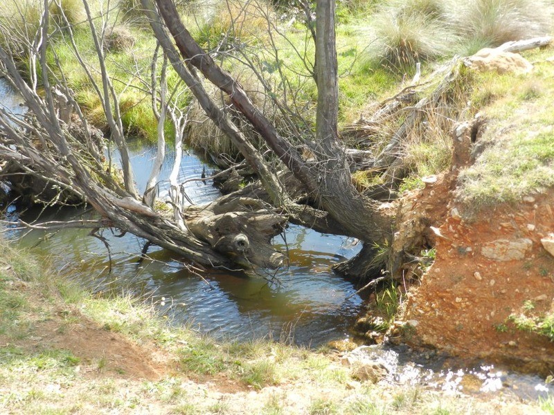 02 Redground Road, Crookwell NSW 2583