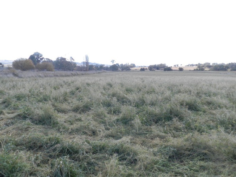 02 Redground Road, Crookwell NSW 2583