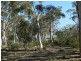 321 Winfarthing  Road, Marulan NSW 2579