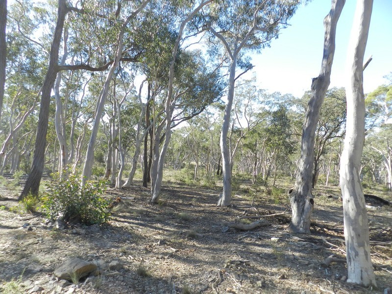 321 Winfarthing  Road, Marulan NSW 2579