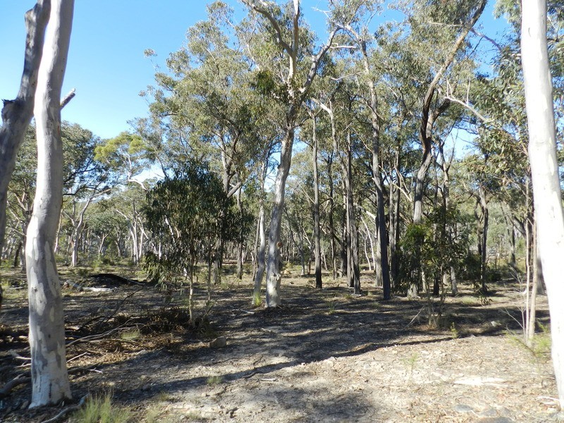 321 Winfarthing  Road, Marulan NSW 2579
